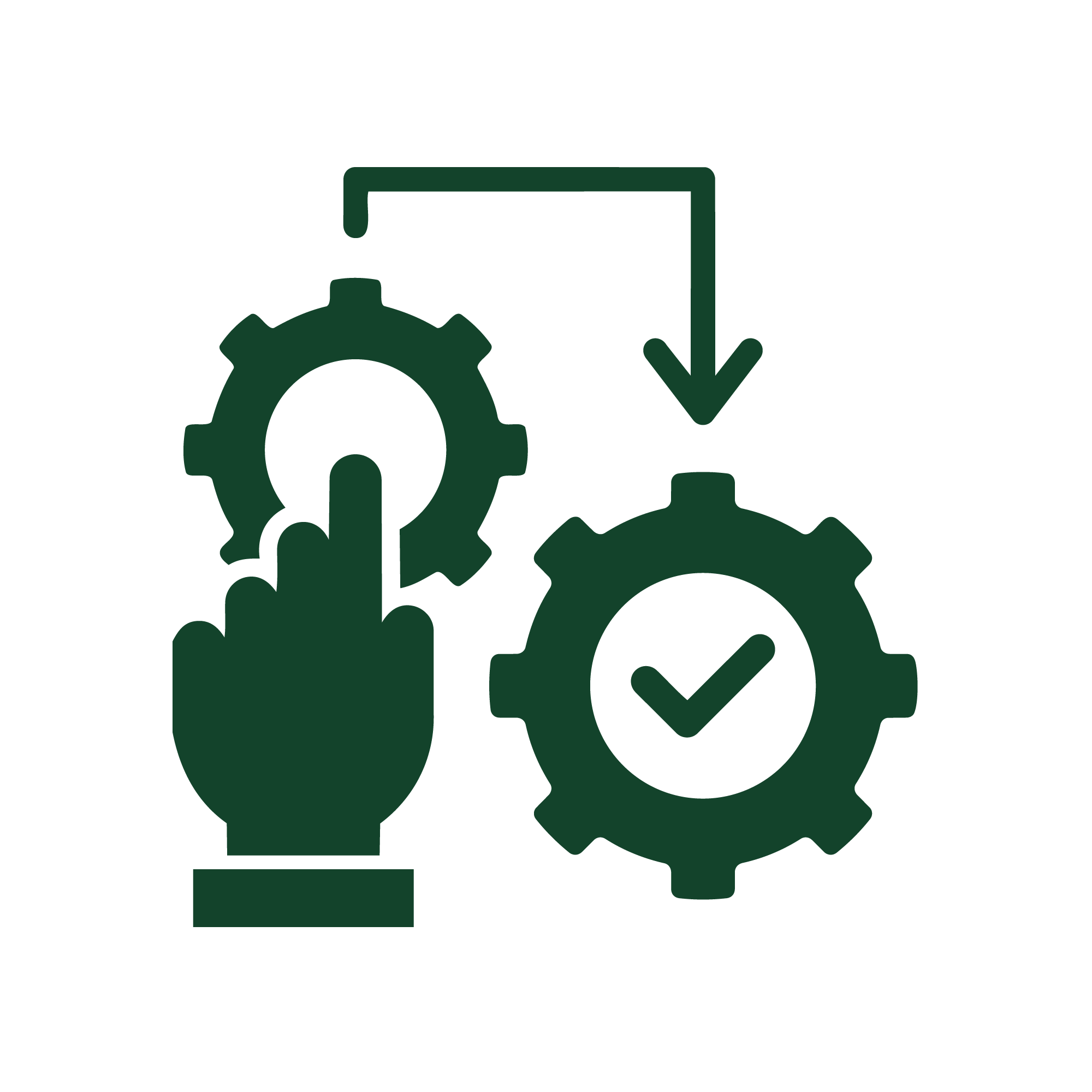 Manual & Automated Testing Support